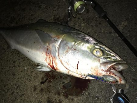 ブリが釣れるポイント